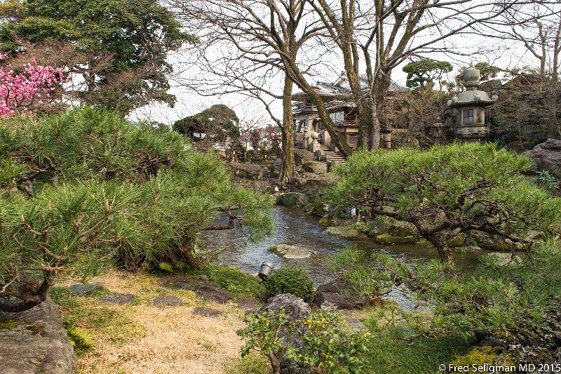20150313_152907 D4S.jpg - Garden of restaurant, Kyoto
